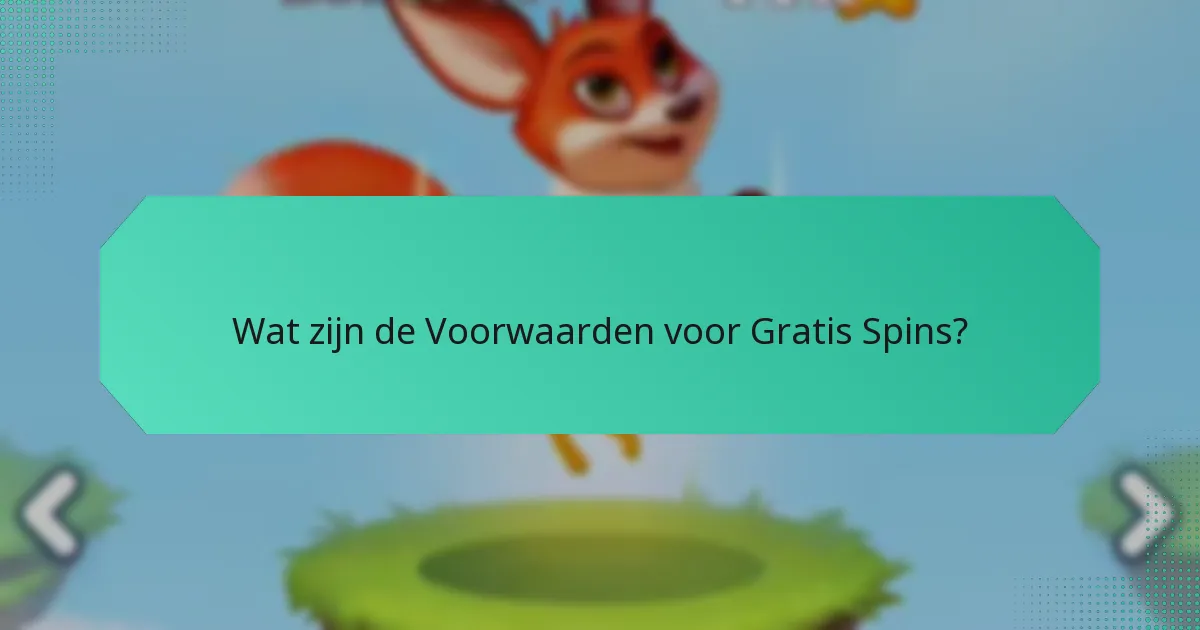 Wat zijn de Voorwaarden voor Gratis Spins?